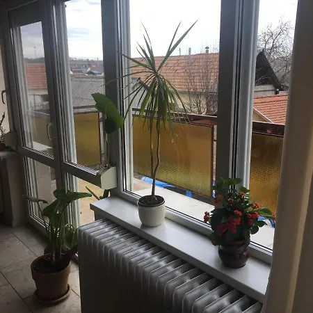 Vendégház Tompos és Pince