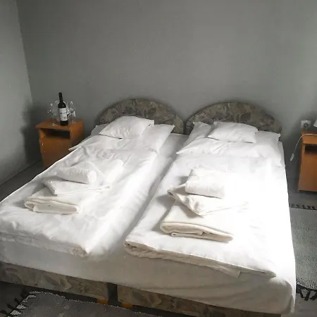 Tompos Vendeghaz Es Pince Guest house Villany